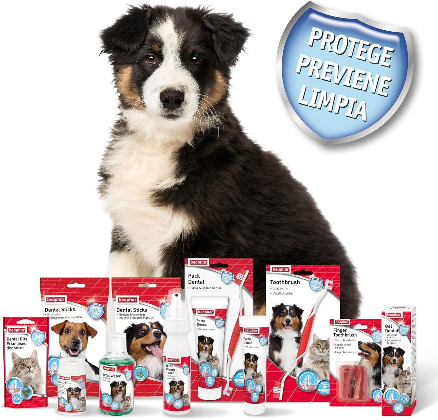 | Toothbrush & Toothpaste Dental Care Kit Puppies | Includes a Small-Headed Toothbrush and Liver-Flavoured Enzymatic Toothpaste, 50G Tube