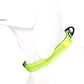 Dog Collars Set 3M Reflective Collar for Small Medium Large Dogs Puppy Adjustable Padded Soft Nylon Comfy Neck TLC5271