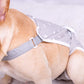 Washable Female Dog Diaper Sanitary Shorts Panties Adjustable Suspenders Pet Physiological Pants Dog Clothes Underwear Briefs