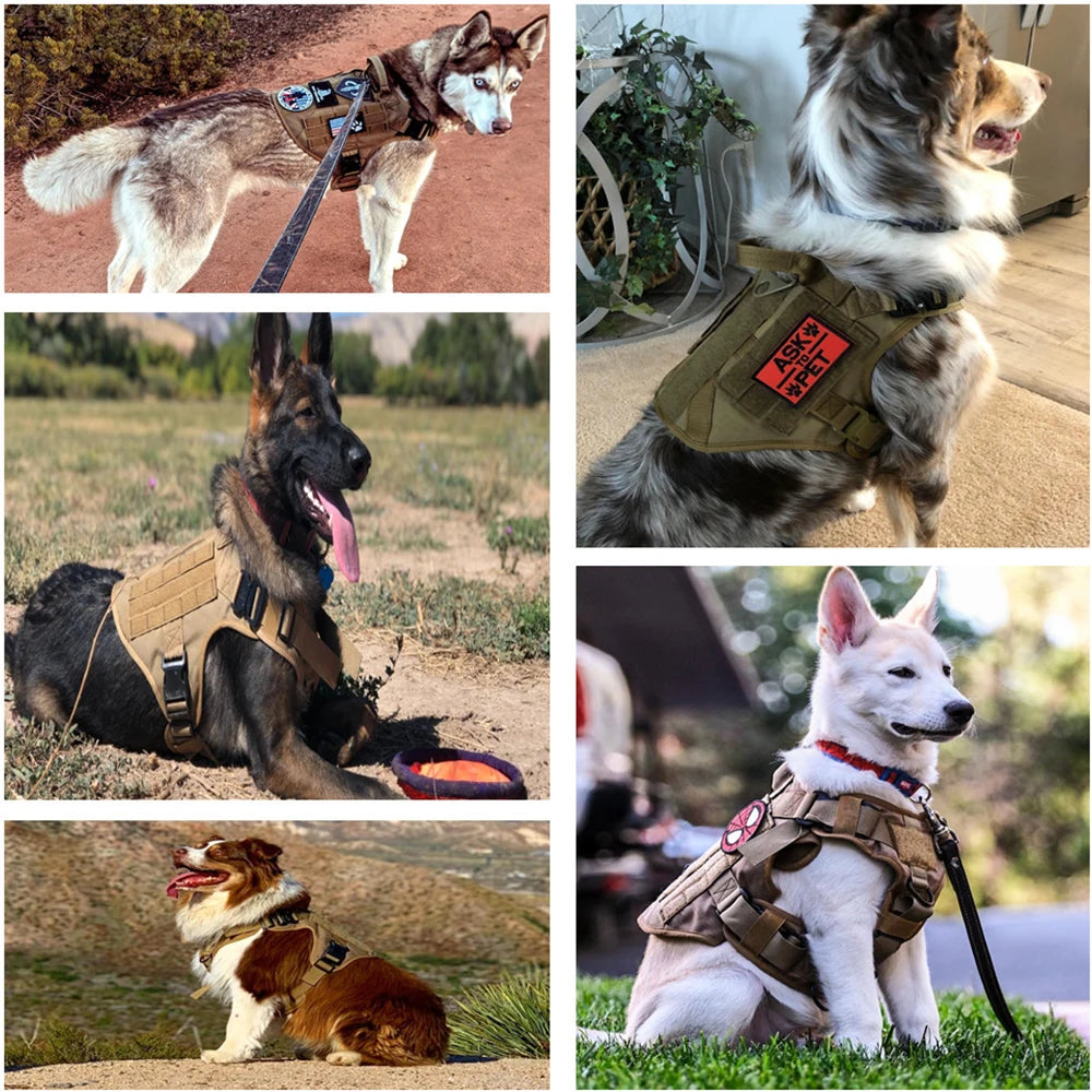 Military Large Dog Harness Pet German Shepherd K9 Malinois Training Vest Tactical Dog Harness and Leash Set for Dogs Accessories