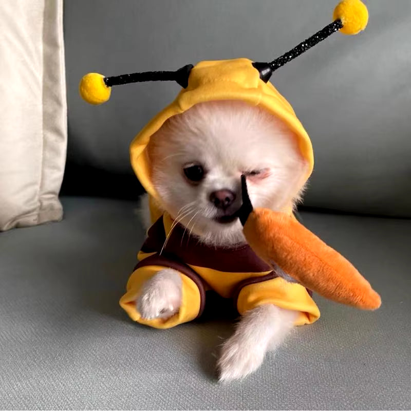 Pet Halloween Costume Honey Bee Role Play Hoodie with Buckle or Not Dogs Cats Party Cosplay Funny Outfit Clothes Dog Hoodies