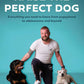 How to Raise the Perfect Dog: Everything You Need to Know from Puppyhood to Adolescence and Beyond