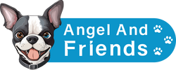 Angel & Friends