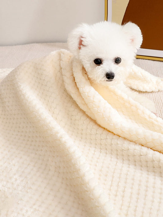 Plain Pet Blanket