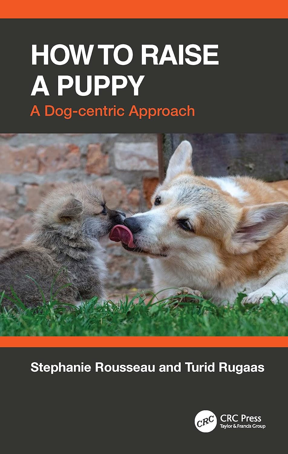 How to Raise a Puppy: a Dog-Centric Approach