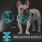 Dog Harness Puppy Cat No Pull Breathable Mesh Reflective Saddle for Small Medium Dogs Cats Adjustable Harness Pug Pet Supplies