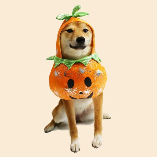 Dog Cat Halloween Pumpkin Costume Pet Cosplay Costumes Puppy Warm Outfits Hoodie Animal Autumn Winter Clothes