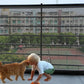 Pet Dog Barrier Fences with 4Pcs Hook Pet Isolated Network Stairs Gate New Folding Breathable Mesh Playpen for Dog Safety Fence