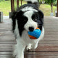 1Pc Pet Dog Molar Bite-Resistant Ball Toy with Sound for Bite Training, Random Color LATEST